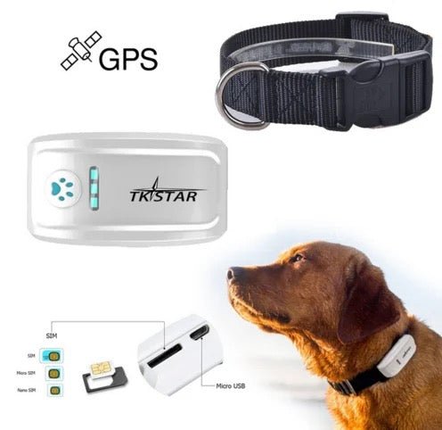 GPS Ogrlica za pse, model TK909 - SitShopRS